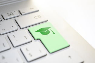 連接智能未來 計算機網絡技術的核心價值與行業應用